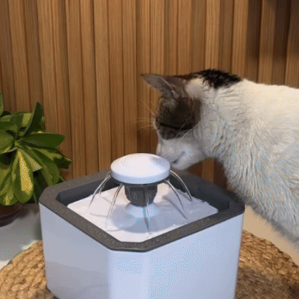 Fuente de Agua para Mascotas 2.5 L – Ciclo Automático, Bomba Silenciosa, USB, Ecológico, Fácil de Limpiar – Perros y Gatos